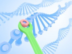 picture of a double helix made of nuts and bolts with a wrench making adjustments