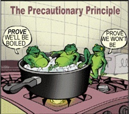precautionary-principle