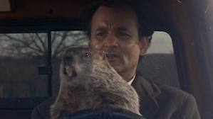 groundhog day