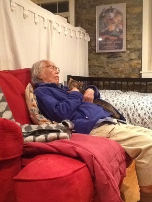 Fez the Cat, a very satsified customer