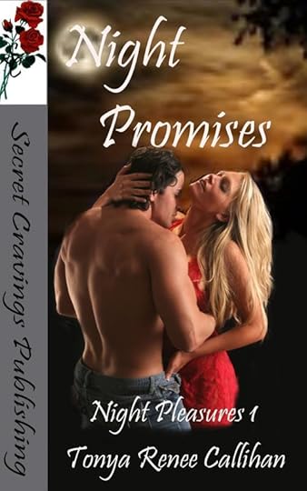 Night Promises 1