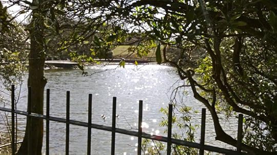 644506_10151606504095972_6729519_n