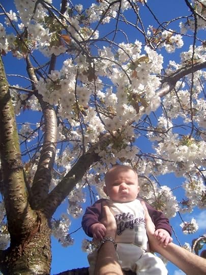 3453821836_1ec2785b56_o