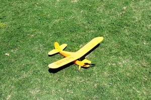 My First Real Plight...I mean, Flight!
