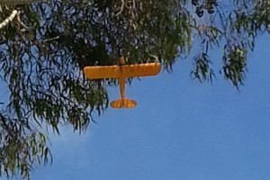 20130624_095723