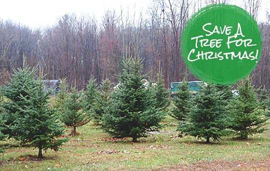 OiJgGdtsW2SjgZ6LJGIncemc.jpeg:Amazon:photo