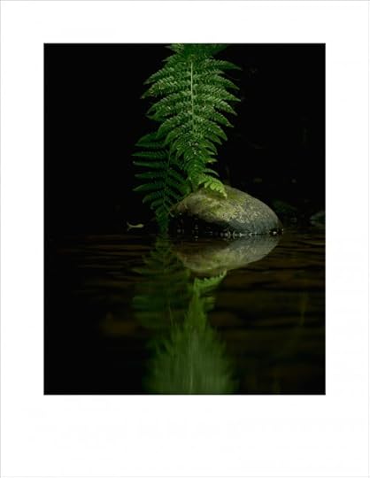Gwaii Haanas-6