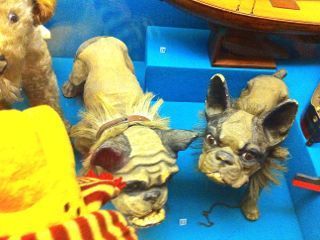  photo IMG_0578_zpsc90f0f67.jpg