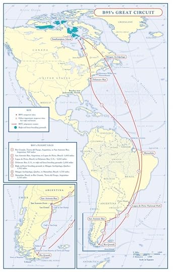 moonbirdmap