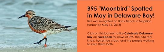 Moonbird Delaware Bay banner