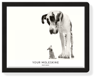 moleskin photo book