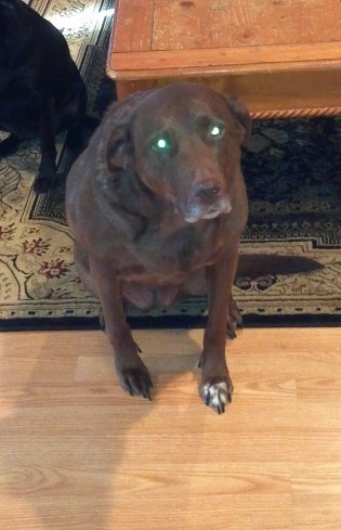 2013-03-04_14-47-09_425