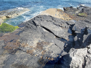 Grandads foot prints.
