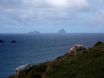 Skelligs