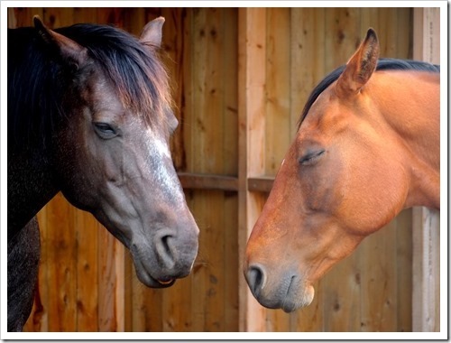 18 June 1 18-06-2013 10-42-37