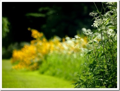 17 June 6 17-06-2013 10-34-13