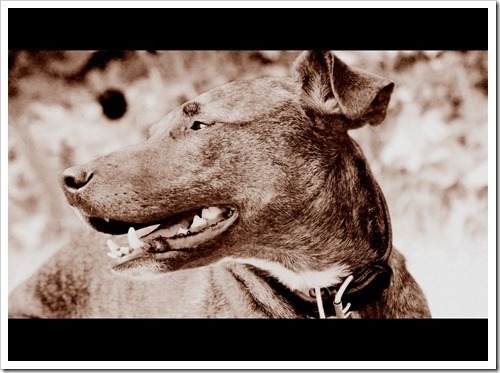 17 June 9 04-06-2013 13-53-35