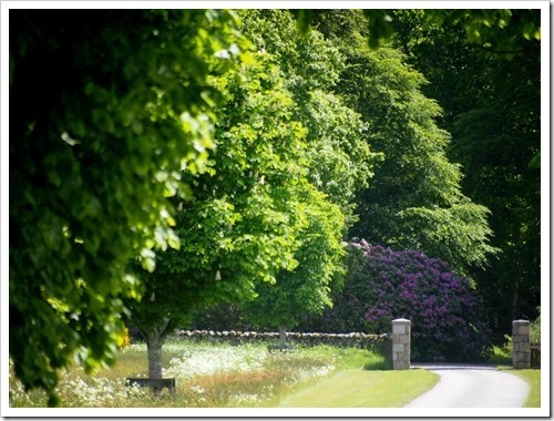 17 June 11 17-06-2013 10-36-55