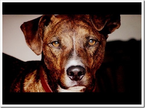 17 June 14 13-06-2013 11-30-17