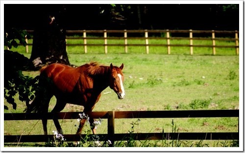 17 June 14 14-06-2013 07-59-43