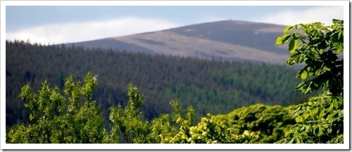 17 June 23 16-06-2013 10-06-24