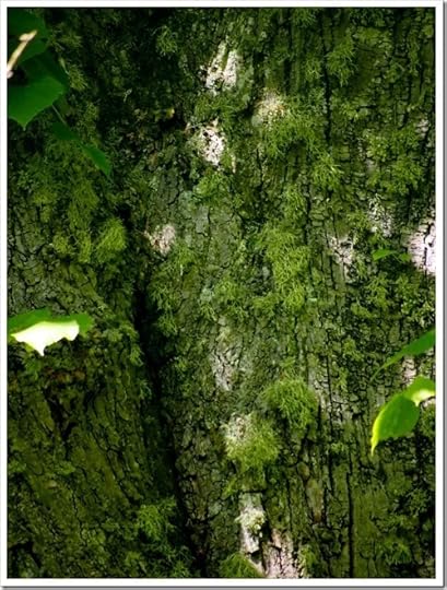 16 June 1 16-06-2013 09-53-45