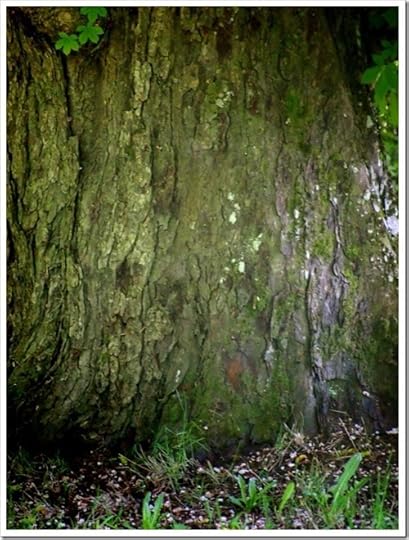 16 June 2 16-06-2013 09-53-53