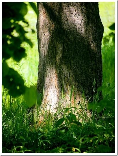 16 June 3 16-06-2013 09-53-59