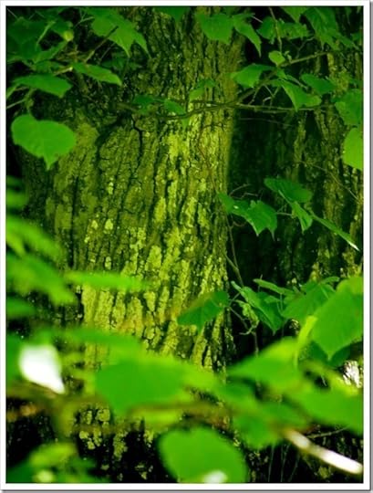 16 June 4 16-06-2013 09-54-32