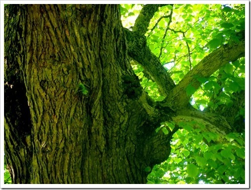 16 June 5 16-06-2013 09-54-48