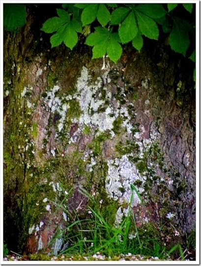 16 June 6 16-06-2013 09-55-03