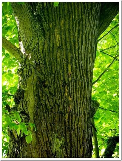 16 June 7 16-06-2013 09-55-14