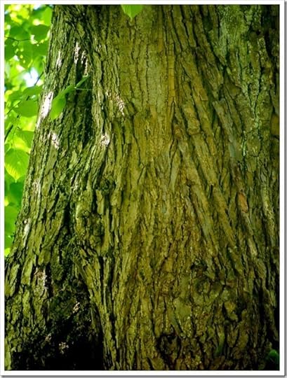 16 June 7 16-06-2013 09-55-19