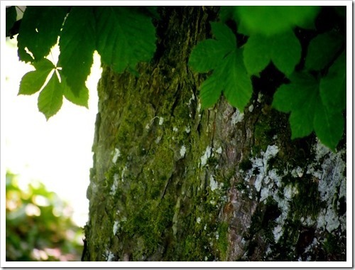 16 June 10 16-06-2013 09-55-47