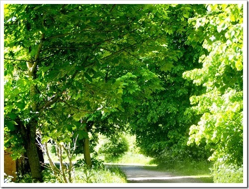 16 June 11 16-06-2013 09-55-55