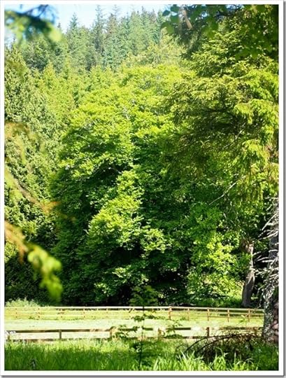 16 June 12 16-06-2013 09-56-30