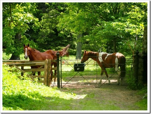 16 June 15 16-06-2013 09-49-13