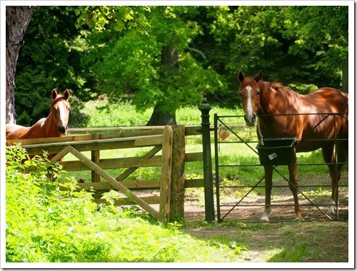 16 June 17 16-06-2013 09-49-35