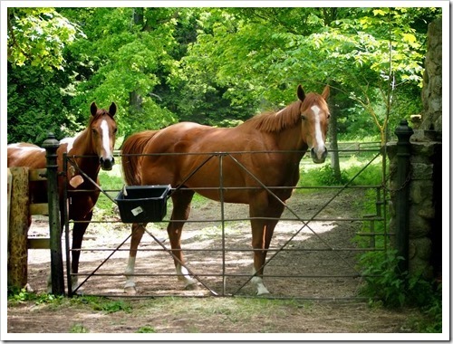 16 June 17 16-06-2013 09-50-36