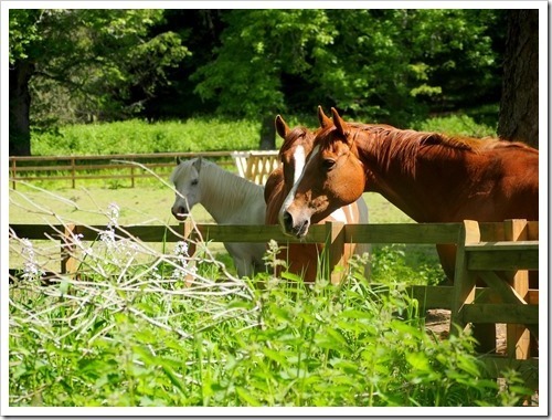 16 June 18 16-06-2013 09-51-01