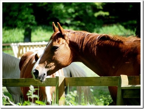 16 June 18 16-06-2013 09-51-04