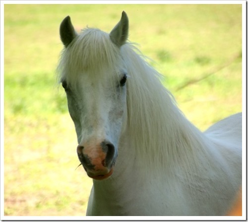 16 June 19 16-06-2013 09-51-58