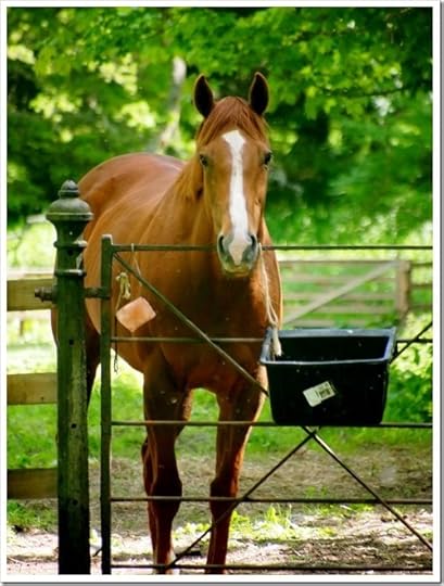 16 June 19 16-06-2013 09-55-26