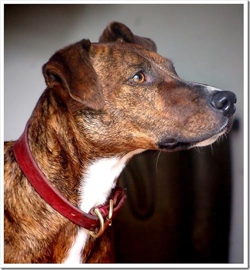 16 June 21 13-06-2013 11-30-15