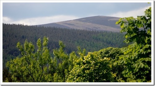 16 June 30 16-06-2013 10-06-23