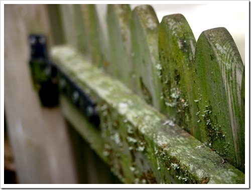 15 June 5 13-06-2013 11-27-21