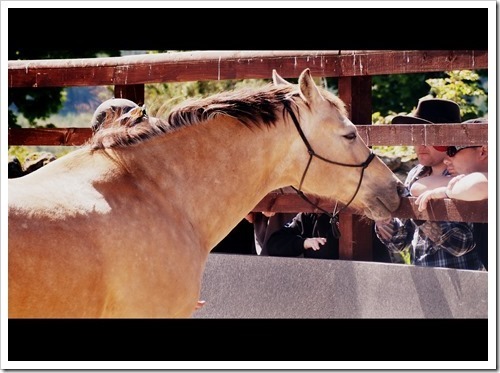 15 June 9 10-06-2013 10-49-11