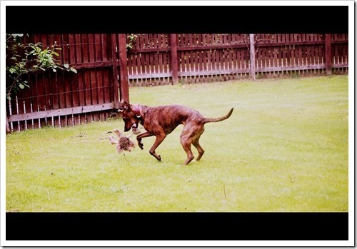 15 June 10 09-06-2013 08-19-51