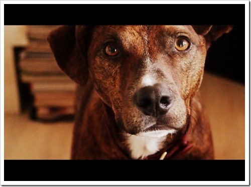 15 June 11 09-06-2013 10-27-45