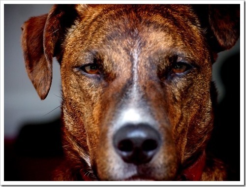 15 June 12 13-06-2013 11-30-56